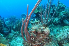 DCIM\101GOPRO\GOPR8420.JPG