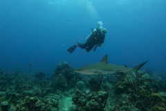 DCIM\101GOPRO\GOPR8418.JPG