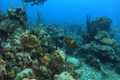 DCIM\101GOPRO\GOPR8400.JPG