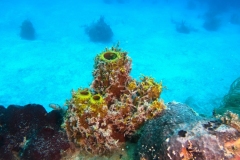 DCIM\101GOPRO\GOPR8673.JPG