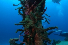 DCIM\101GOPRO\GOPR8671.JPG