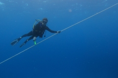 DCIM\101GOPRO\GOPR8932.JPG