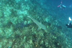 DCIM\101GOPRO\GOPR7540.JPG