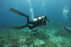 DCIM\101GOPRO\GOPR7534.JPG