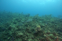 DCIM\101GOPRO\GOPR7541.JPG