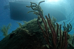 DCIM\100GOPRO\GOPR7629.JPG