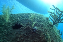 DCIM\100GOPRO\GOPR7628.JPG