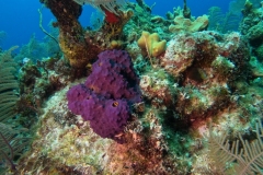 DCIM\100GOPRO\GOPR7612.JPG