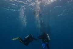 DCIM\100GOPRO\GOPR7650.JPG