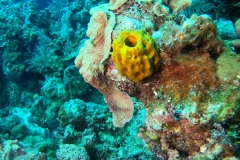 DCIM\100GOPRO\GOPR7611.JPG