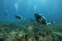 DCIM\100GOPRO\GOPR7606.JPG