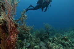 DCIM\100GOPRO\GOPR7599.JPG