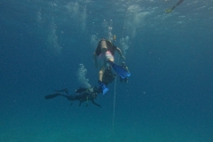 DCIM\100GOPRO\GOPR7646.JPG