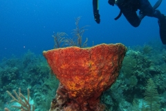 DCIM\100GOPRO\GOPR7590.JPG