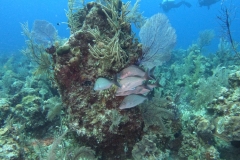 DCIM\100GOPRO\GOPR7585.JPG