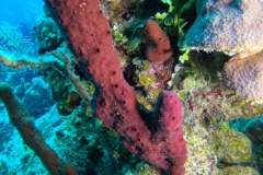 DCIM\100GOPRO\GOPR7581.JPG