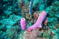 DCIM\100GOPRO\GOPR7577.JPG