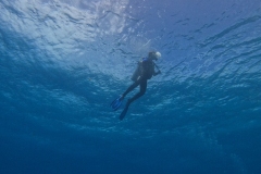 DCIM\100GOPRO\GOPR7644.JPG