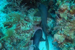 DCIM\100GOPRO\GOPR7574.JPG