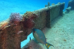 DCIM\100GOPRO\GOPR7569.JPG