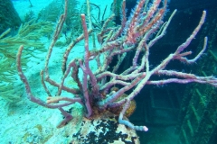 DCIM\100GOPRO\GOPR7637.JPG