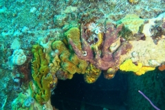 DCIM\100GOPRO\GOPR7634.JPG