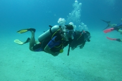 DCIM\103GOPRO\GOPR2228.JPG