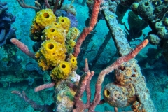 DCIM\100GOPRO\GOPR7915.JPG