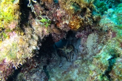 DCIM\100GOPRO\GOPR2676.JPG
