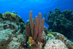 DCIM\100GOPRO\GOPR2667.JPG