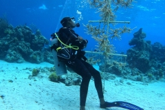DCIM\100GOPRO\GOPR2665.JPG