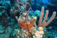 DCIM\100GOPRO\GOPR2712.JPG