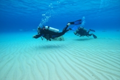 DCIM\100GOPRO\GOPR2651.JPG