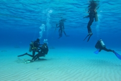 DCIM\100GOPRO\GOPR2647.JPG
