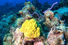 DCIM\100GOPRO\GOPR2707.JPG