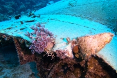 DCIM\100GOPRO\GOPR2704.JPG