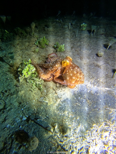 DCIM\100GOPRO\GOPR3102.JPG