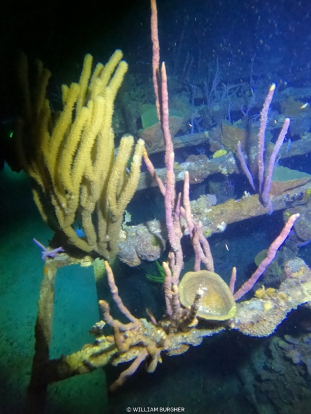 DCIM\100GOPRO\GOPR3057.JPG