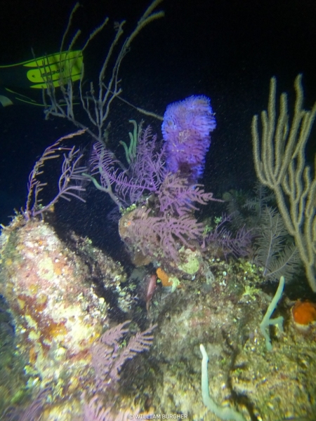 DCIM\100GOPRO\GOPR3041.JPG