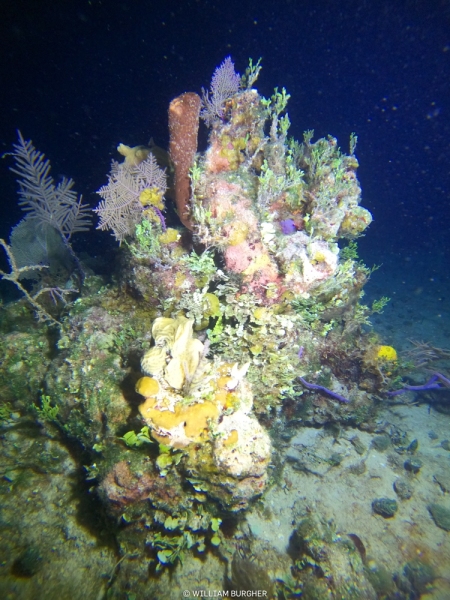 DCIM\100GOPRO\GOPR3039.JPG