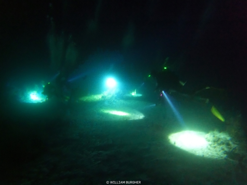 DCIM\100GOPRO\GOPR3038.JPG