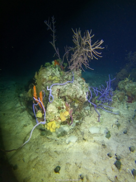 DCIM\100GOPRO\GOPR3096.JPG