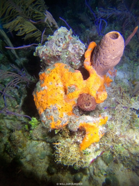 DCIM\100GOPRO\GOPR3081.JPG