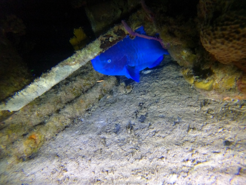 DCIM\100GOPRO\GOPR3066.JPG