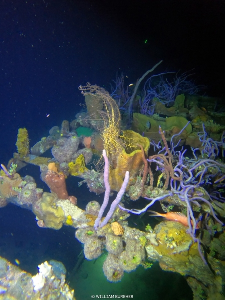 DCIM\100GOPRO\GOPR3061.JPG