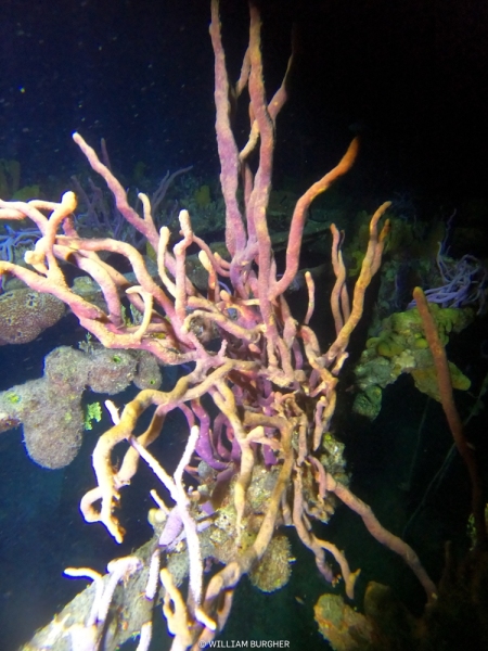 DCIM\100GOPRO\GOPR3060.JPG