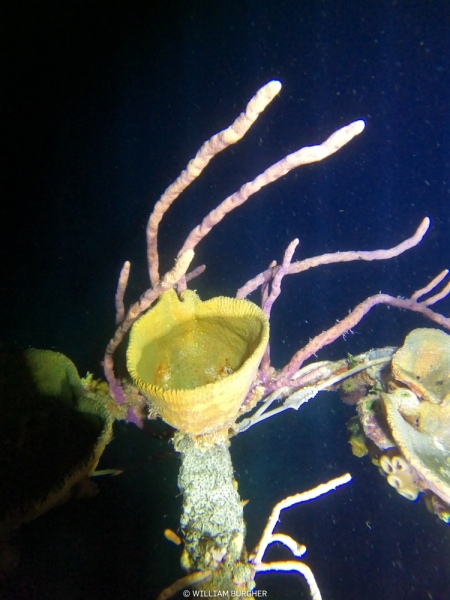 DCIM\100GOPRO\GOPR3059.JPG