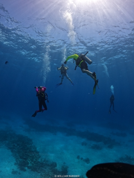 DCIM\100GOPRO\GOPR8357.JPG