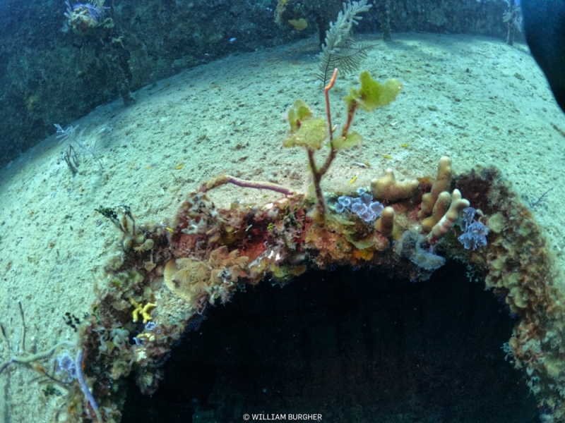 DCIM\100GOPRO\GOPR8303.JPG