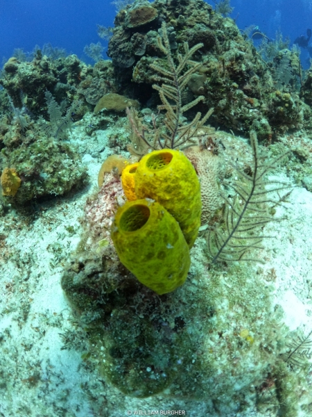 DCIM\100GOPRO\GOPR8280.JPG